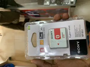 Sony Lithium Np Bg1
