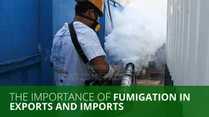 Processing Factories Fumigation With Cleantex