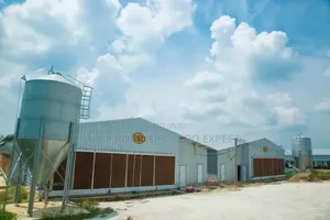 Galvanized Chicken Structures With Battery Cage System