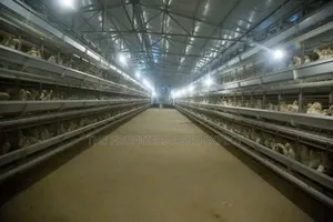 Galvanized Chicken Structures With Battery Cage System