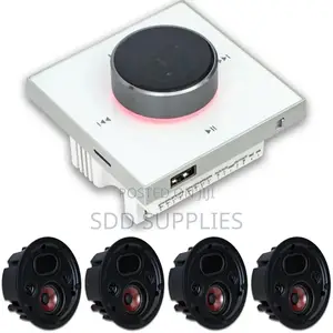 Quality 100w Mani Amplifier 2set of Luxury Ceiling Speaker
