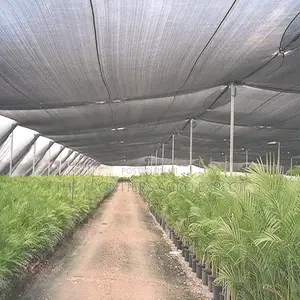 95% Uv Greenhouse Shadenet