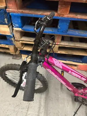 Verve 20" Mystic Pink Kids' Bicycle