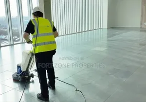 Cleanmaniacs
