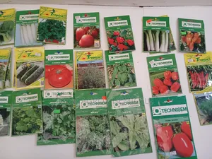 Vegetable Seeds
