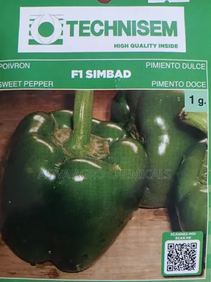 F1 Simbad Bell Pepper Seeds