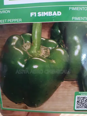 F1 Simbad Bell Pepper Seeds