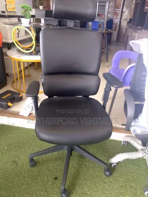 Orthopedic Quality Leather Chair and Back Support