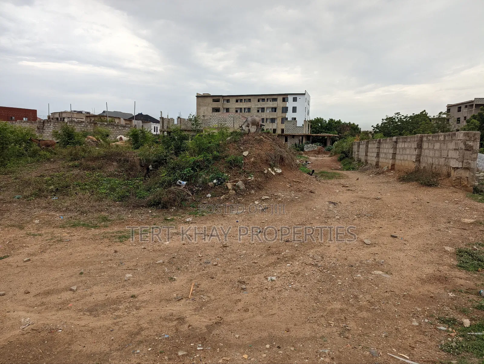 Land for Sale at Tseaddo