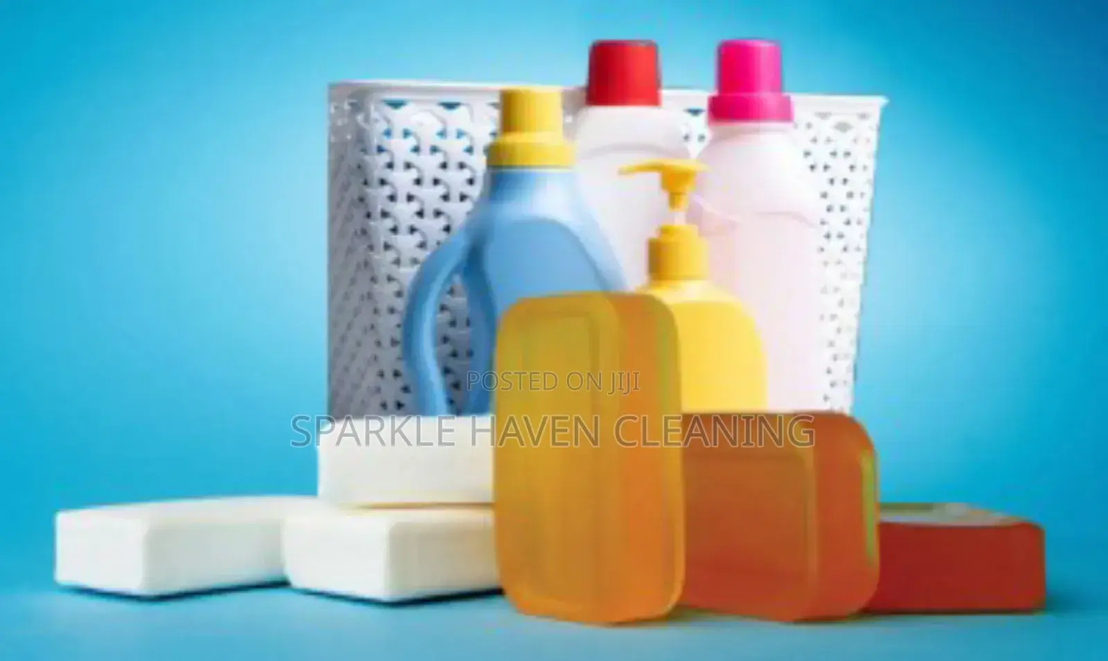 Door-to-Door Laundry and Home Cleaning Services.