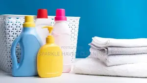 Door-to-Door Laundry and Home Cleaning Services.