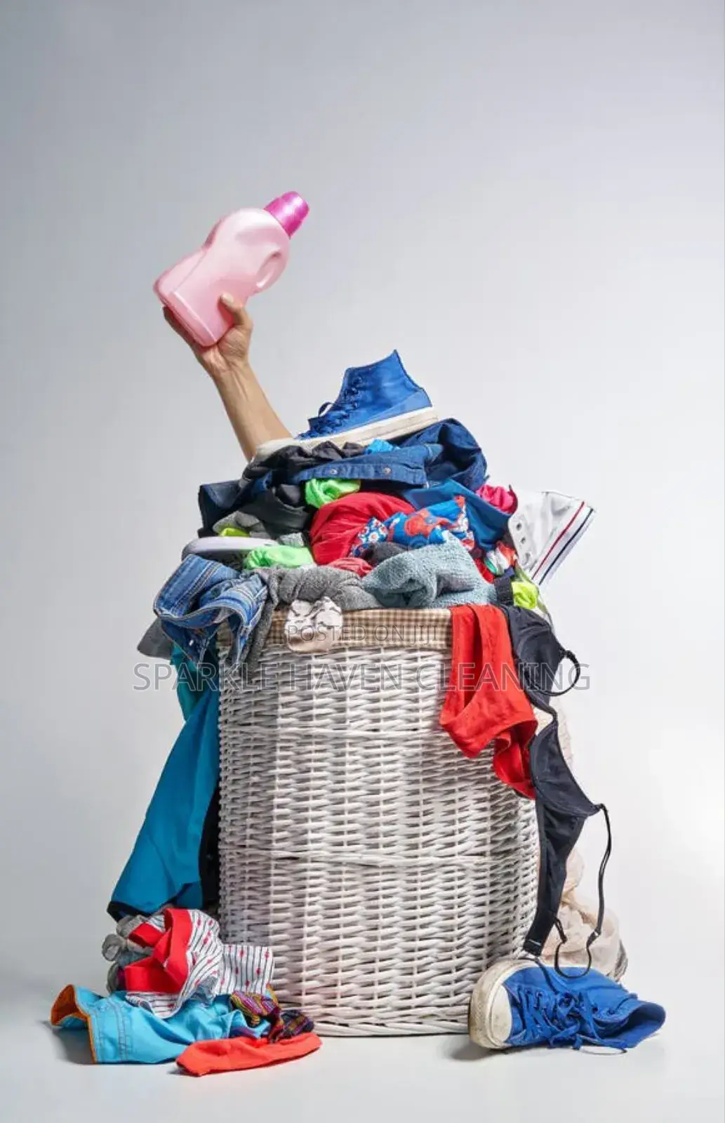 Door-to-Door Laundry and Home Cleaning Services.