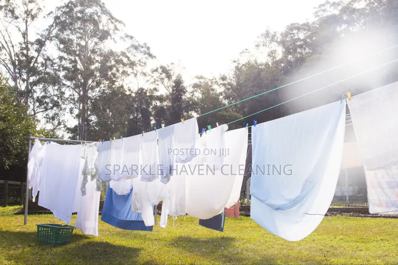 Door-to-Door Laundry and Home Cleaning Services.