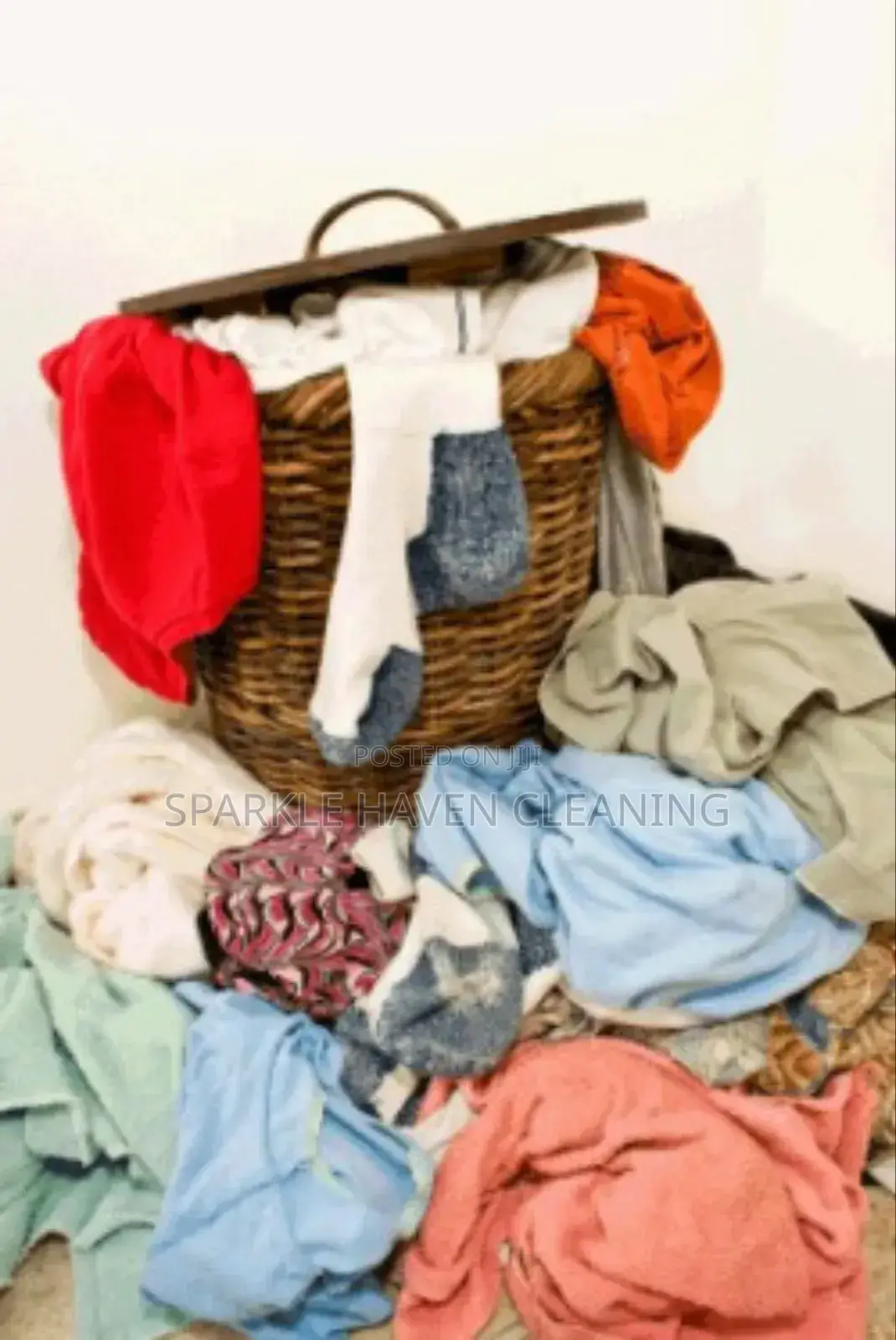 Door-to-Door Laundry and Home Cleaning Services.