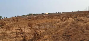 Profitable Registered Lands at Ningo Prampram