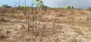 Dream Half Plots at Reduced Price - Prampram Beach Road