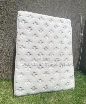 Bed Cleaning