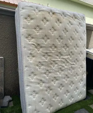 Bed Cleaning