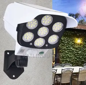 Solar Security Light