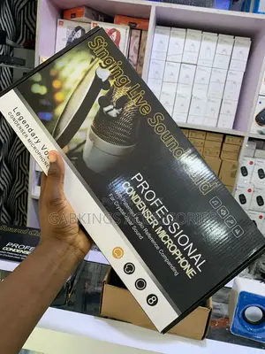 Professional Condenser Microphone