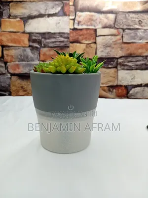 Air Humidifier Plant