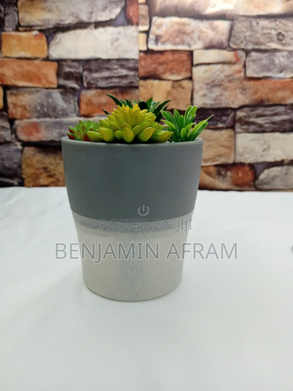Air Humidifier Plant