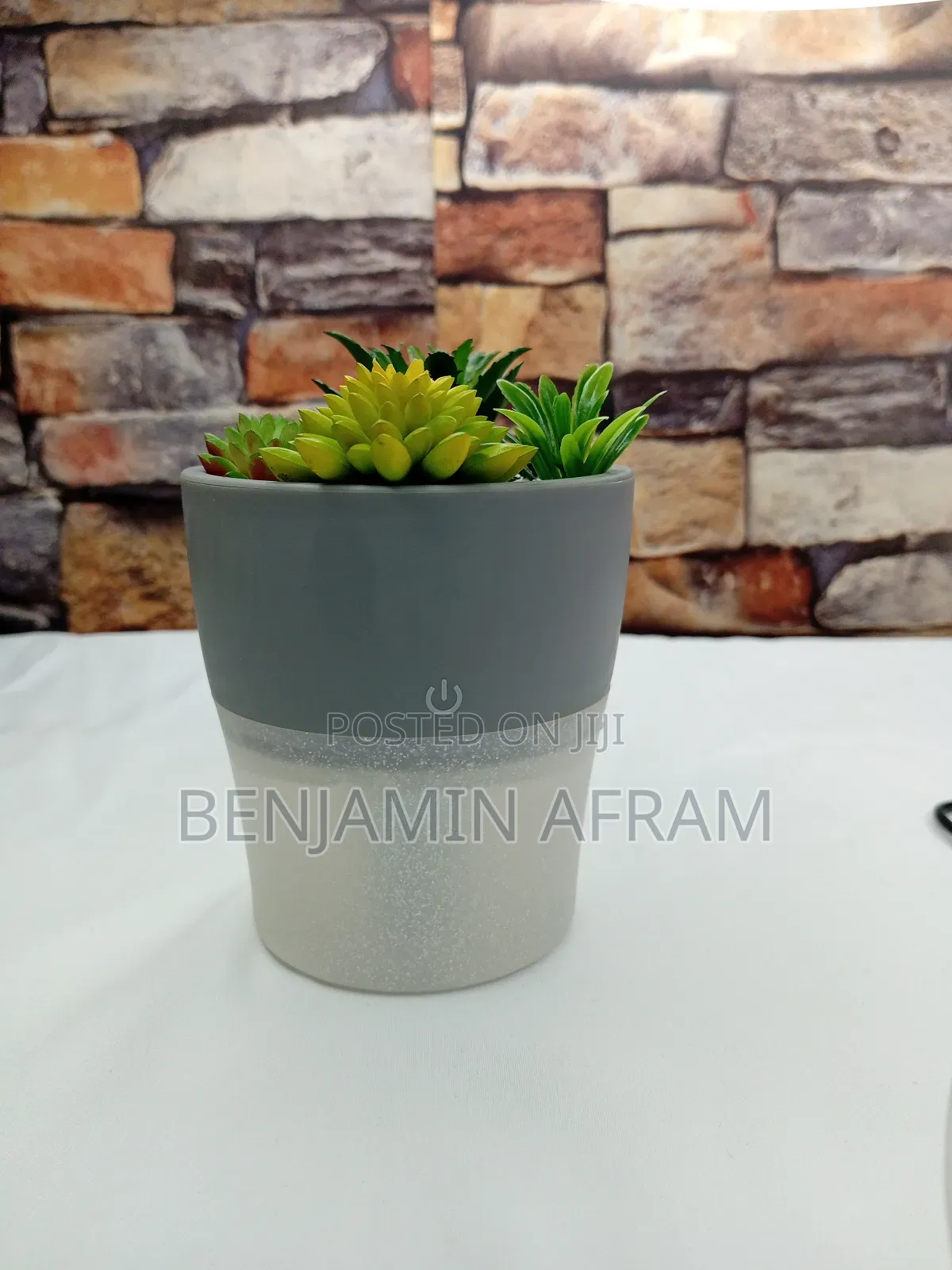 Air Humidifier Plant