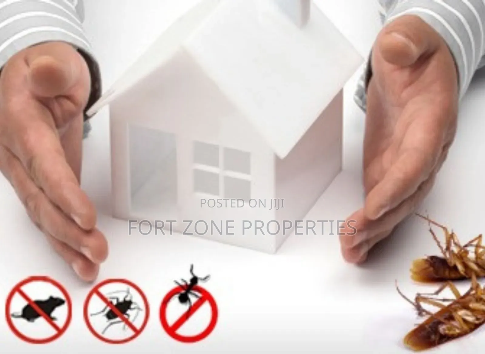 Legon Hills Fumigation Service,Accra