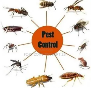Legon Hills Fumigation Service,Accra
