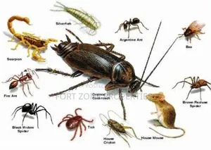 Teshie Fumigation Service With Cleantex