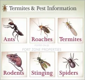 Teshie Fumigation Service With Cleantex