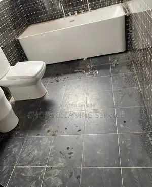 Cleaning and Maintenance