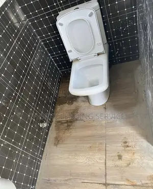 Cleaning and Maintenance