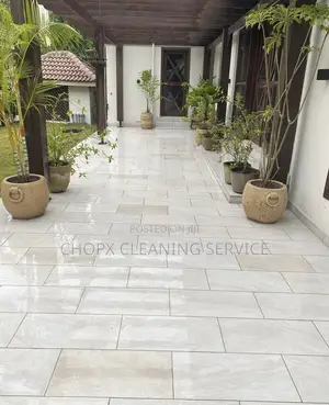 Experience the Chopx Clean Diference See the Transformation!