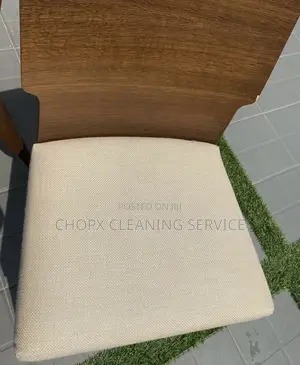 Sofa Cleaning Revitalize Your Favorite Seat!