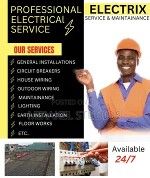 Professional Electrical Services
