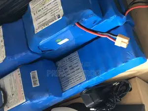 Hoverboard Batteries