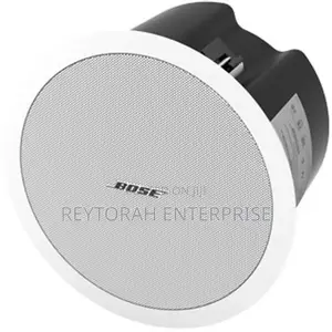 Bose Freespace Ds 100f Passive Loudspeaker