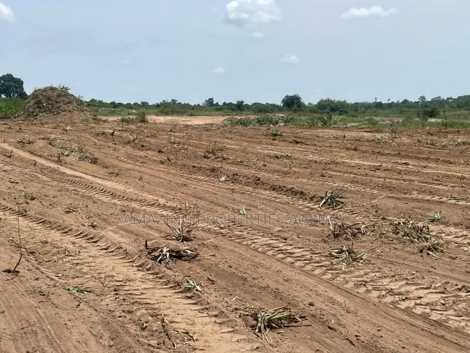 50 Acres of Land at Beach Land Title for Sale Ningo Prampram
