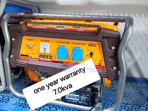 Electrifying Solution 7.0kva Petrol Generator