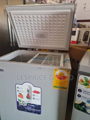 Eskay 147l Chest Freezer: Fast Freeze