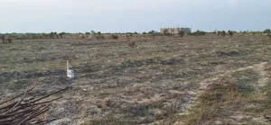 Amazing Packed Promo Deals on Plots at Prampram Beach Lane