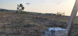 Free Freebies on Certified Lands at Prampram Beach Road