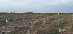 Free Freebies on Certified Lands at Prampram Beach Road