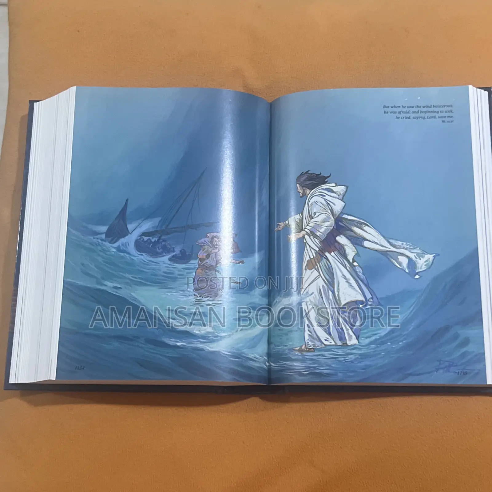 The Illustrated KJV Bible
