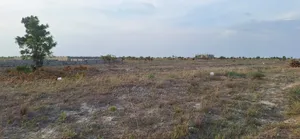 Free Freebies on Certified Lands at Prampram Beach Road