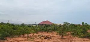 Urgent Titled Plots at Tema Community 25