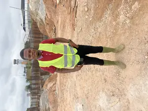 Land Surveyor