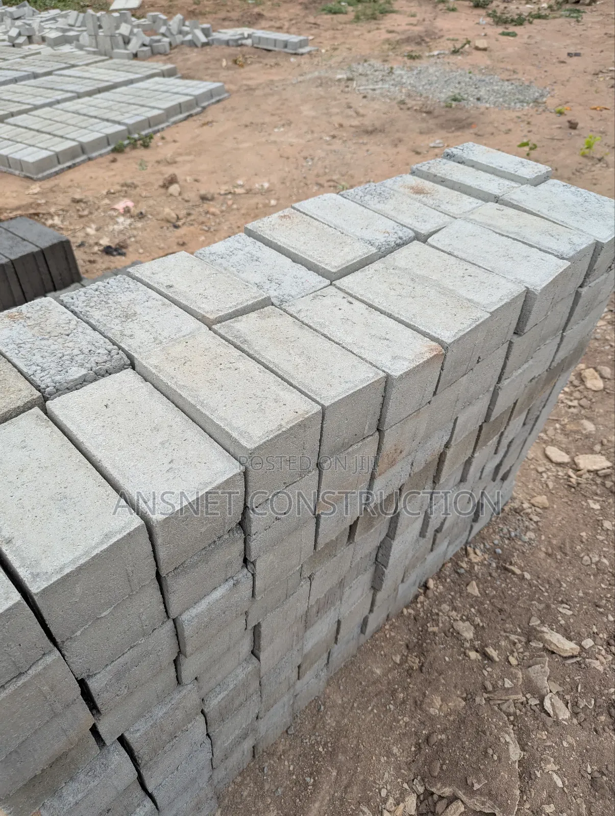 Pavement Bricks