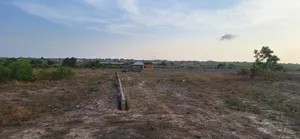 Special Easter Promo Deals on Certified Lands.
